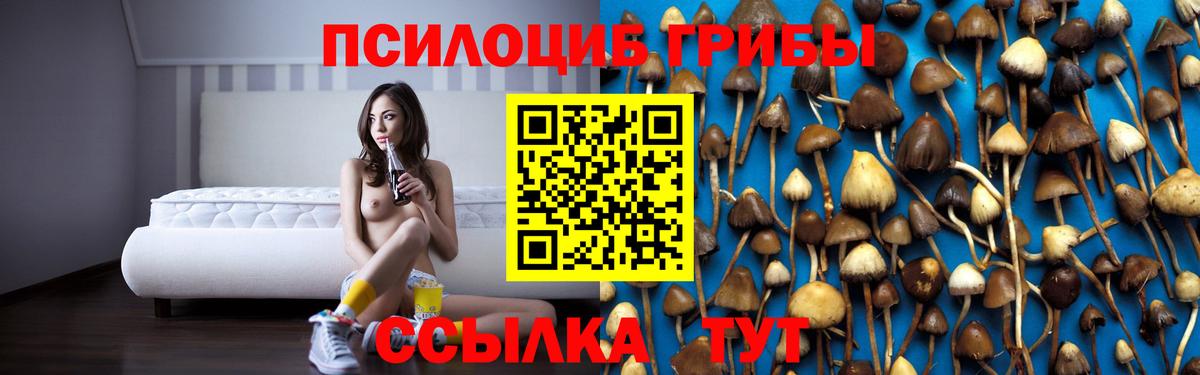 Галлюциногенные грибы прущие грибы  Псилоцибиновые грибы мухоморы  закладки  Клинцы  Вход с VPN 